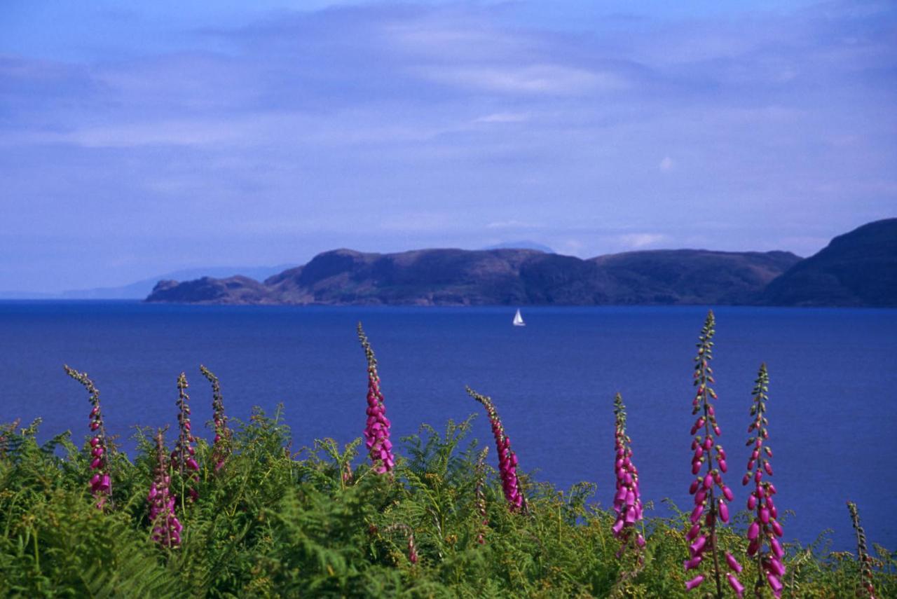 Glengorm Castle Bed & Breakfast Tobermory Bagian luar foto